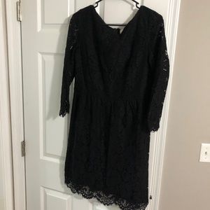 Loft lace dress
